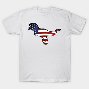 American Flag T-Rex Funny Dinosaurs T-Shirt